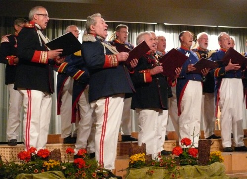 Der Chor der Bürgerwache Mengen